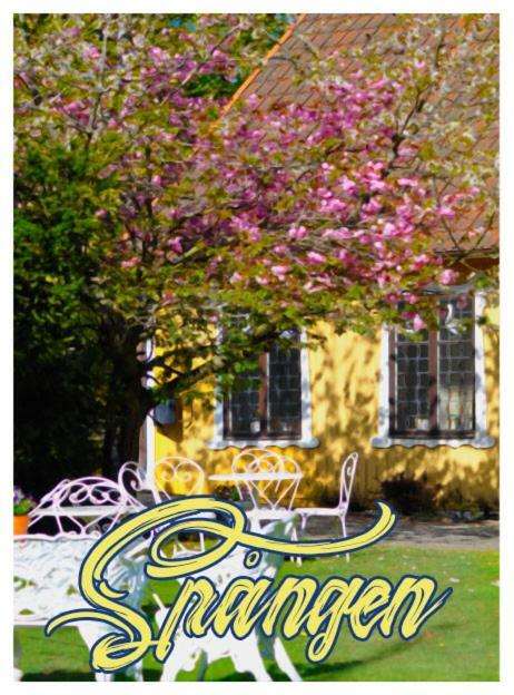 Spangens Gastgivaregard Inn Ljungbyhed Luaran gambar